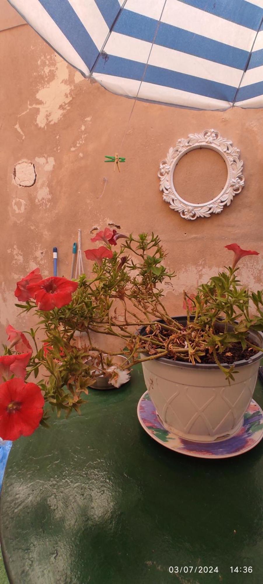 Casa Di Mare Apartment Corfu  Exterior photo